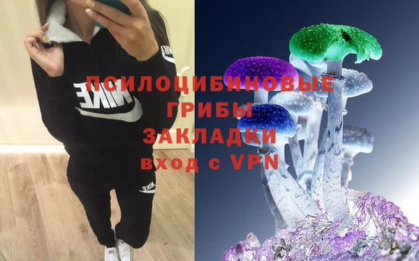 a pvp Абдулино