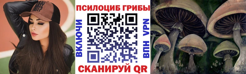 блэк спрут ссылки Лосино-Петровский Галлюциногенные грибы Psilocybe