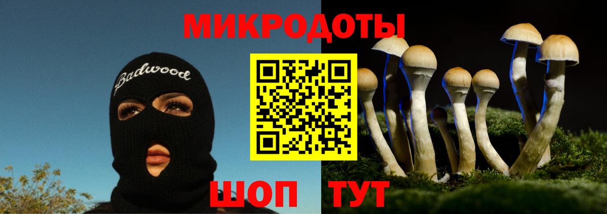 Лосино-Петровский  Псилоцибиновые грибы ЛСД  Псилоцибиновые грибы мухоморы  Вход с VPN 